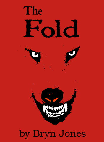 The Fold Book Cover